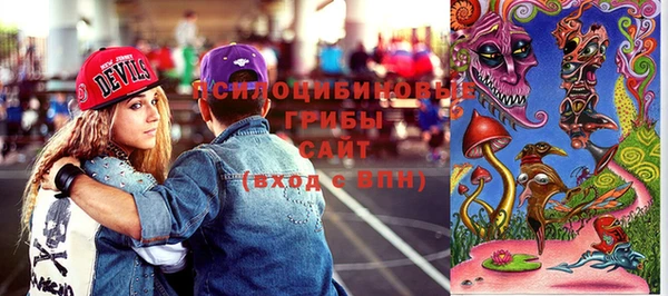 бошки Алексин