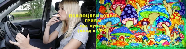 наркотики Алексеевка